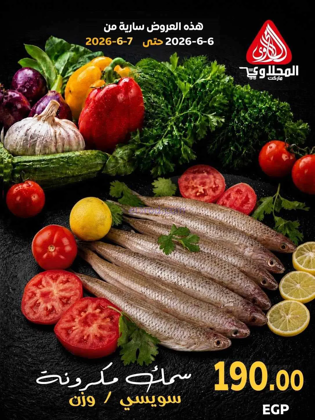 عروض المحلاوى مصر|أكل بحري|6 حتى 7-6-2026