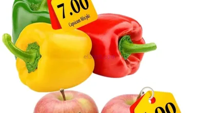 el3rod.com00004