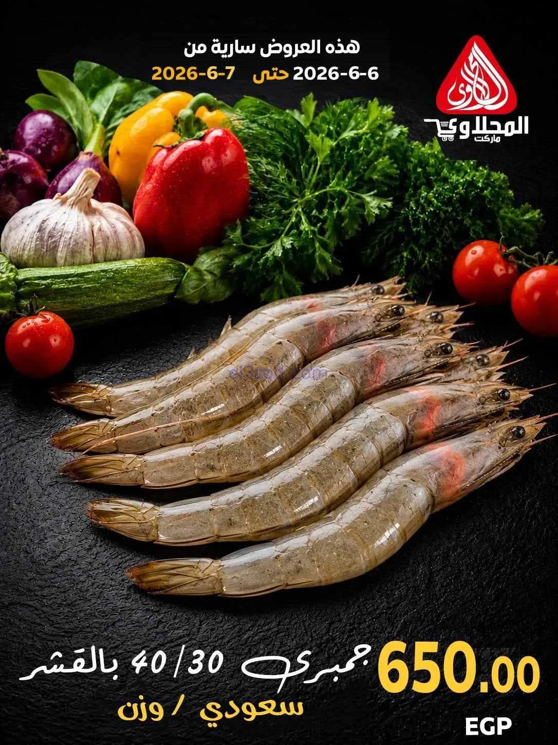 عروض المحلاوى مصر|أكل بحري|6 حتى 7-6-2026