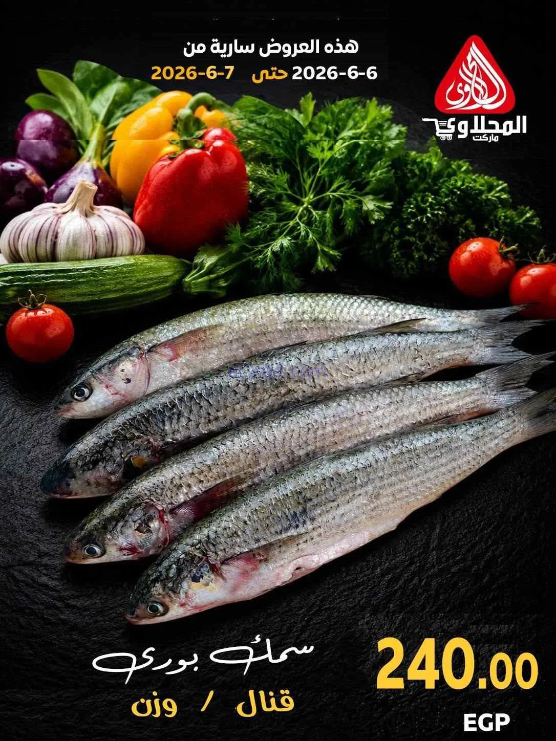 عروض المحلاوى مصر|أكل بحري|6 حتى 7-6-2026