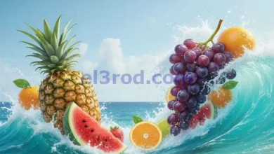 el3rod.com00006