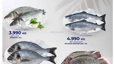 el3rod.com00009