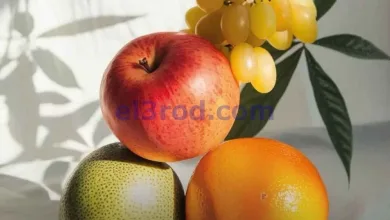 el3rod.com00001