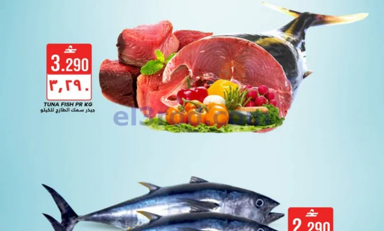 el3rod.com00001