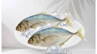 el3rod.com00001