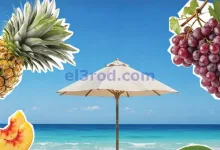 el3rod.com00001