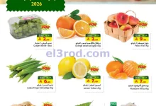 el3rod.com00001