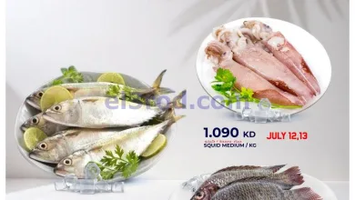 el3rod.com00001