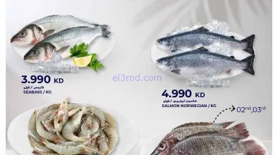 el3rod.com00001