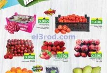 el3rod.com00001