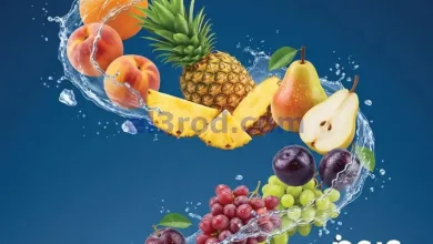 el3rod.com00001