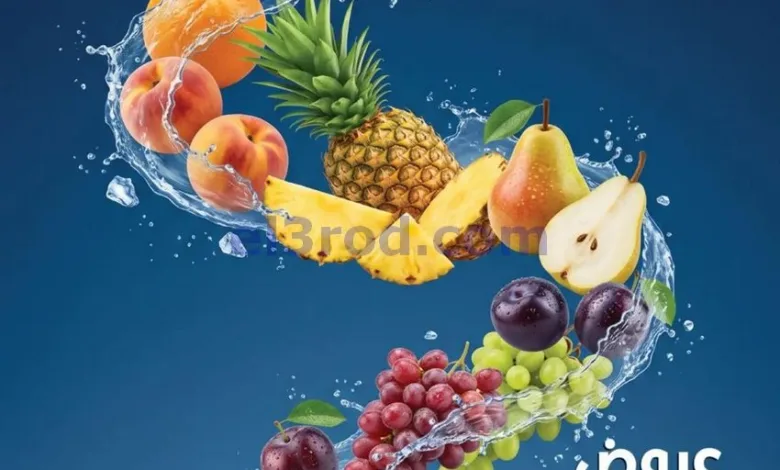 el3rod.com00001