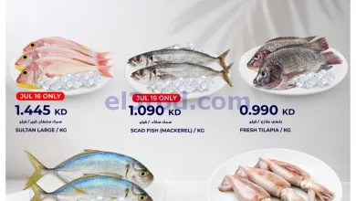 el3rod.com00001