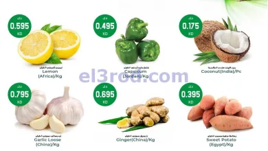 el3rod.com00001