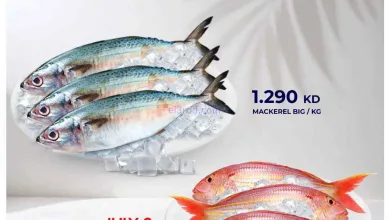 el3rod.com00001