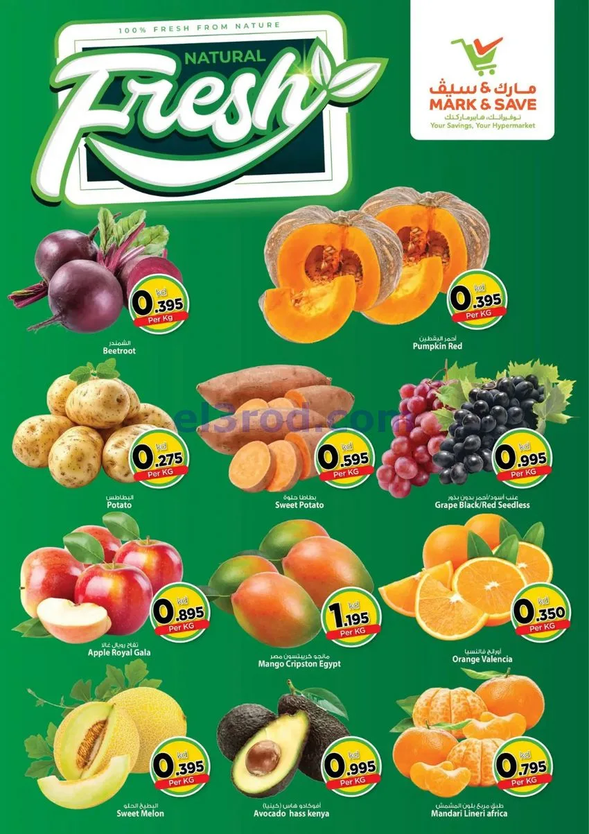 عروض مارك اند سيف الضجيج|12 حتى 14-7-2026