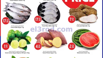 el3rod.com00002