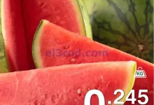 el3rod.com00002
