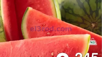 el3rod.com00002
