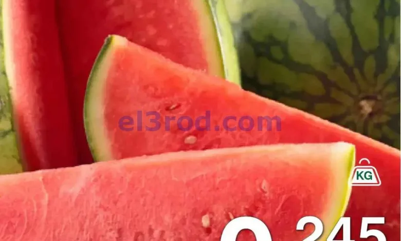 el3rod.com00002
