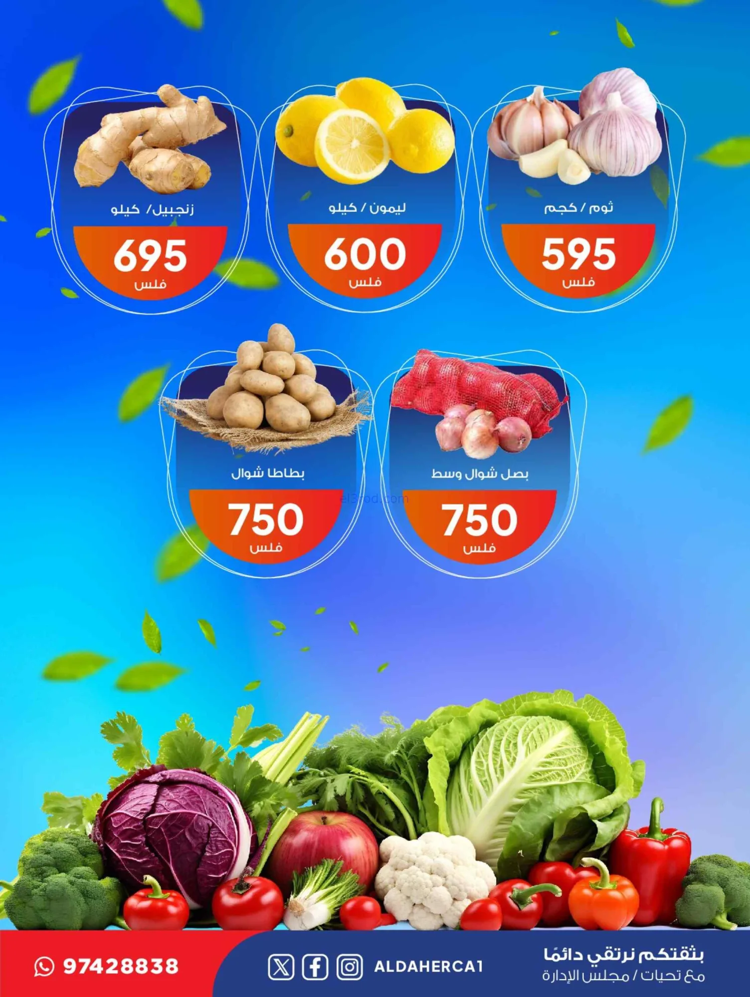 عروض جمعية ضاحية الظهر التعاونية|7-7-2026