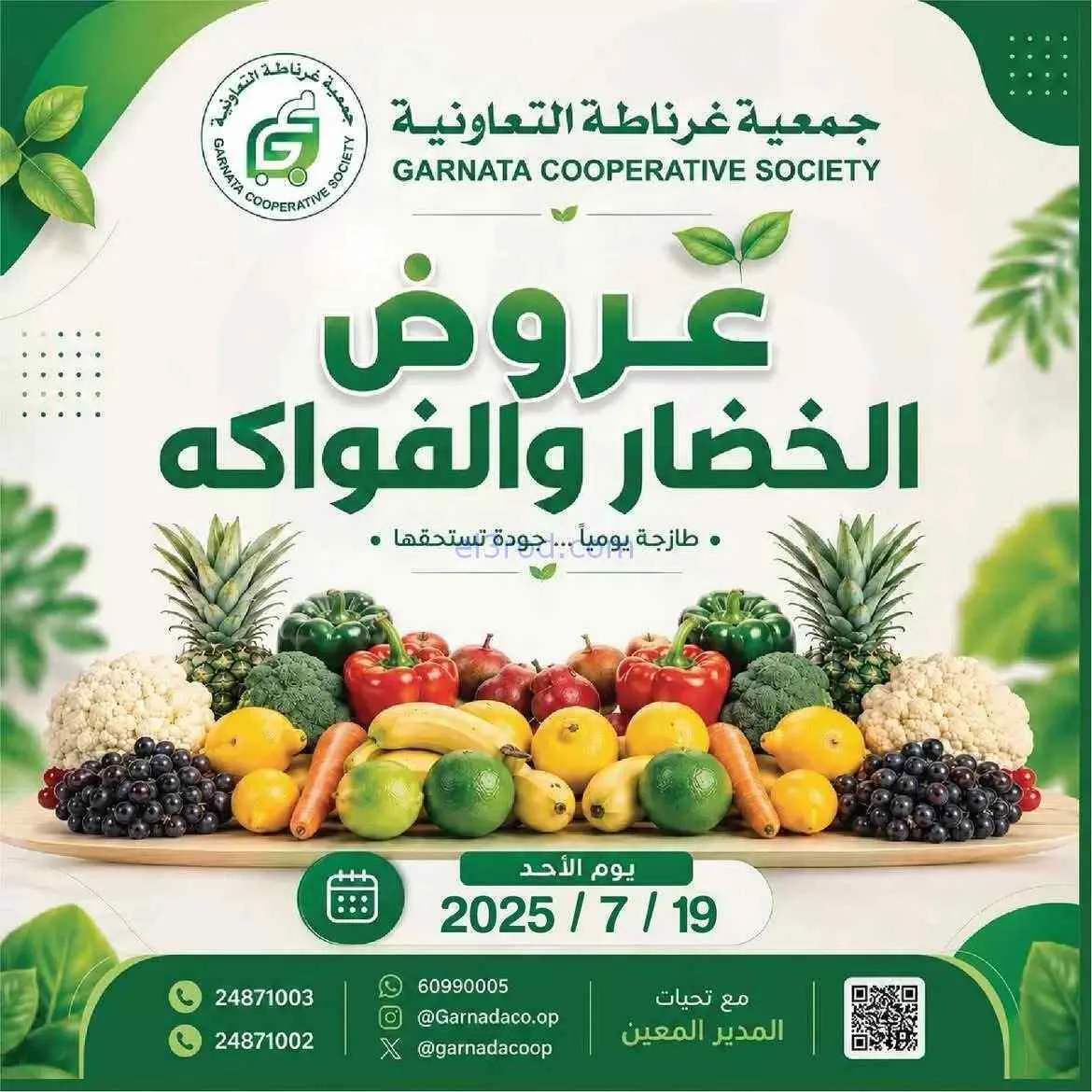 عروض جمعية غرناطة التعاونية|19-7-2026