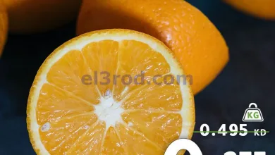 el3rod.com00003