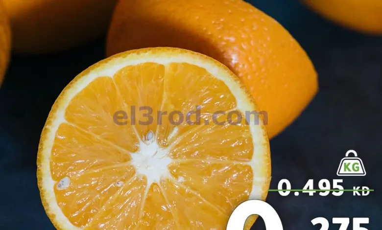 el3rod.com00003