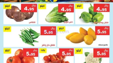 عروض مؤسسة حصاد البساتين السعودية|4 حتى 5-7-2026 el3rod.com00004