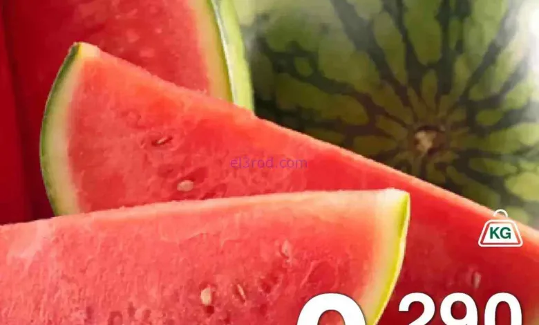 el3rod.com00005
