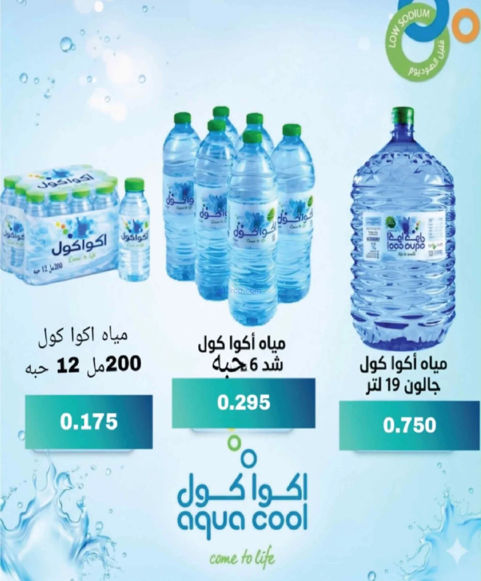 عروض جمعية شمال غرب الصلبيخات|22 حتى 31-7-2026