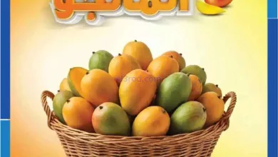 el3rod.com00001
