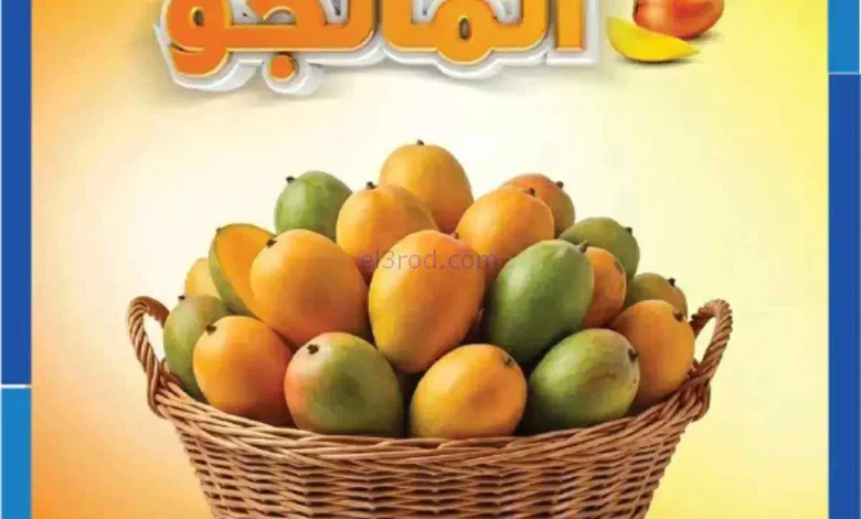 عروض جمعية الشامية والشويخ|مانجو|حتى 24-8-2026 el3rod.com00001