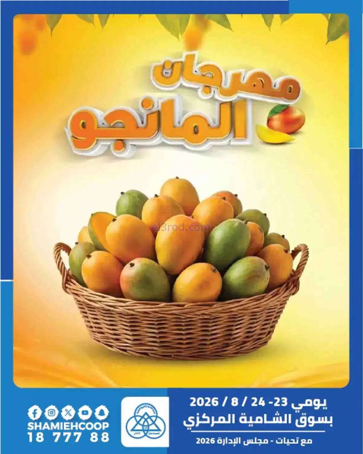 عروض جمعية الشامية والشويخ|مانجو|حتى 24-8-2026