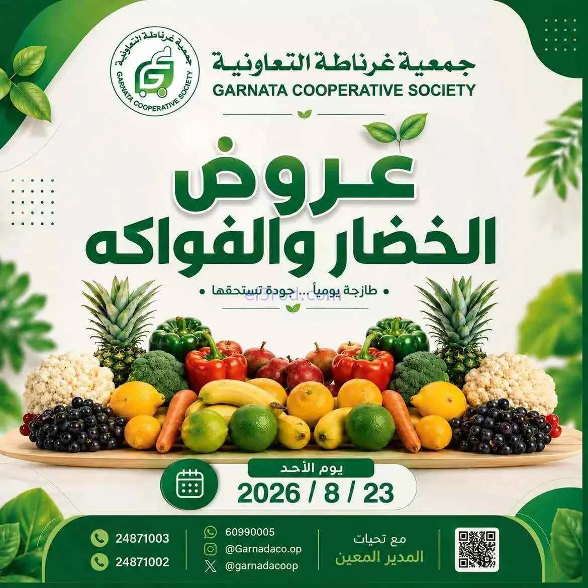 عروض جمعية غرناطة التعاونية|23-8-2026