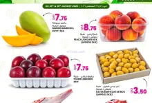 عروض انصار جاليرى قطر|25 حتى 26-8-2026 el3rod.com00001