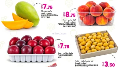 عروض انصار جاليرى قطر|25 حتى 26-8-2026 el3rod.com00001