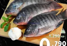 el3rod.com00001