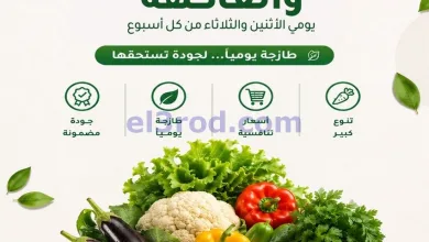 el3rod.com00001