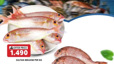 el3rod.com00001