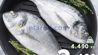 el3rod.com00001