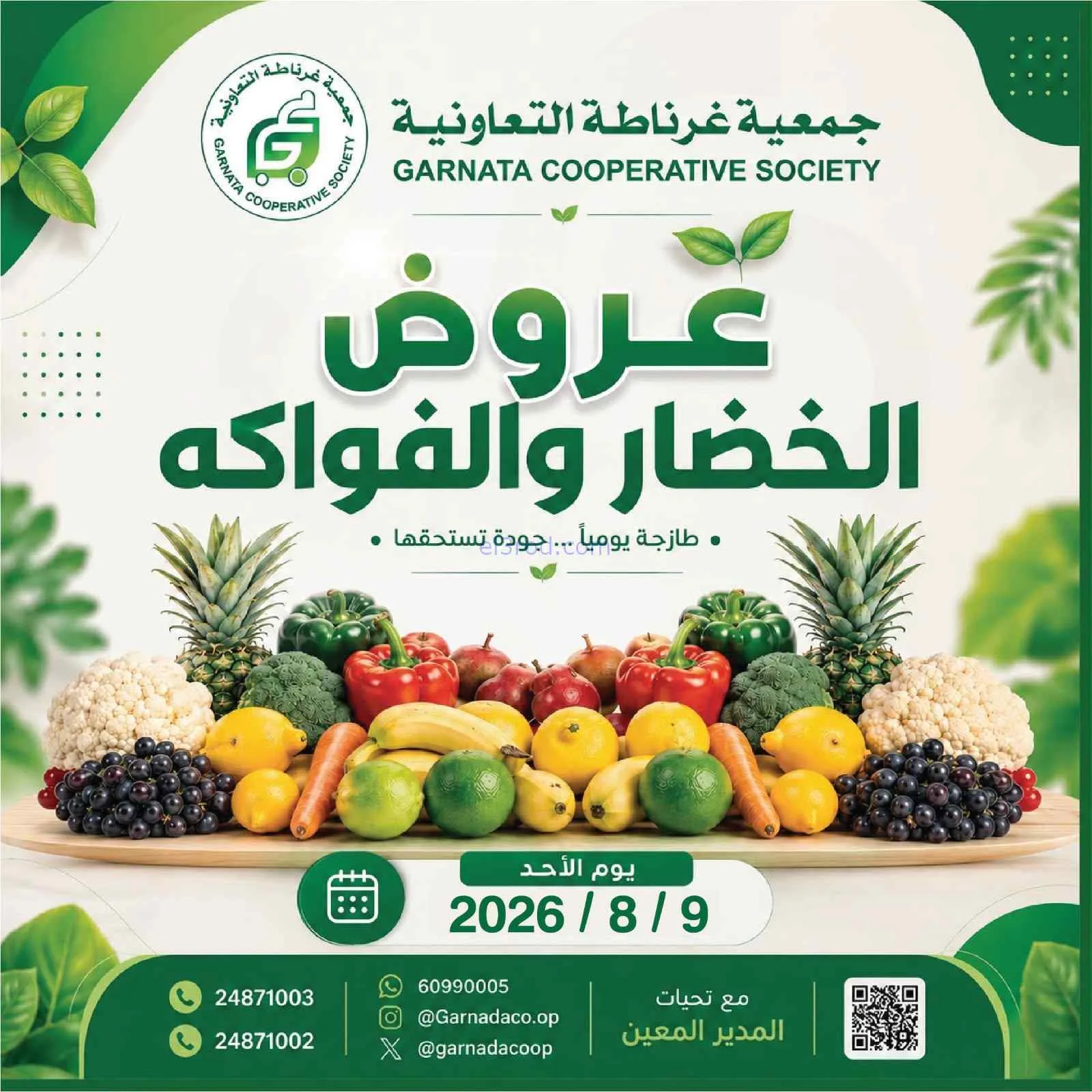 عروض جمعية غرناطة التعاونية|9-8-2026