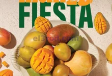 el3rod.com00001