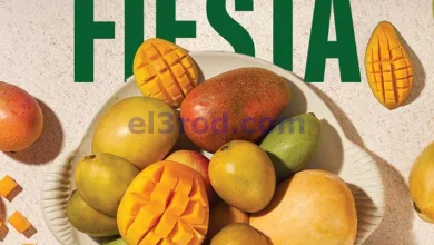 el3rod.com00001