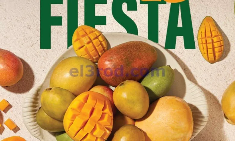 el3rod.com00001