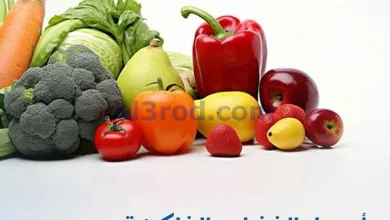 el3rod.com00001