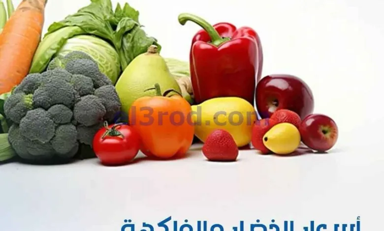 el3rod.com00001