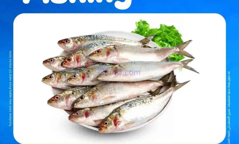 عروض مسكر هايبر ماركت قطر|الأسماك|18-8-2026 el3rod.com00001