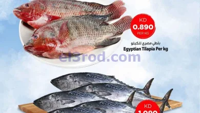 el3rod.com00002