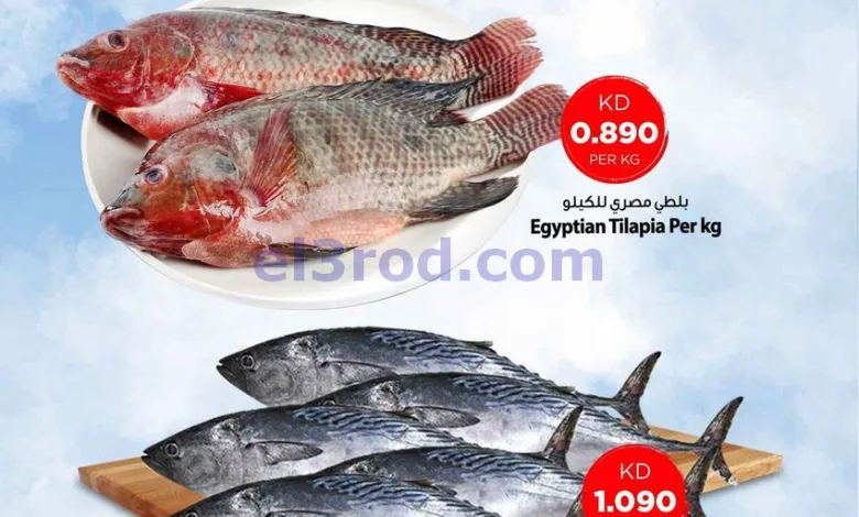 el3rod.com00002